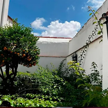 شقة Rincon Almoravide En Centro